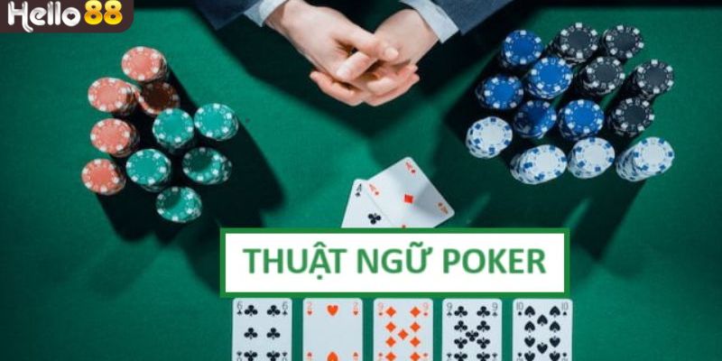  Biết nhiều điều mới mẻ hơn từ thuật ngữ Poker